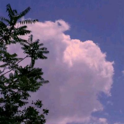 王者勋章彩虹行动官方下载